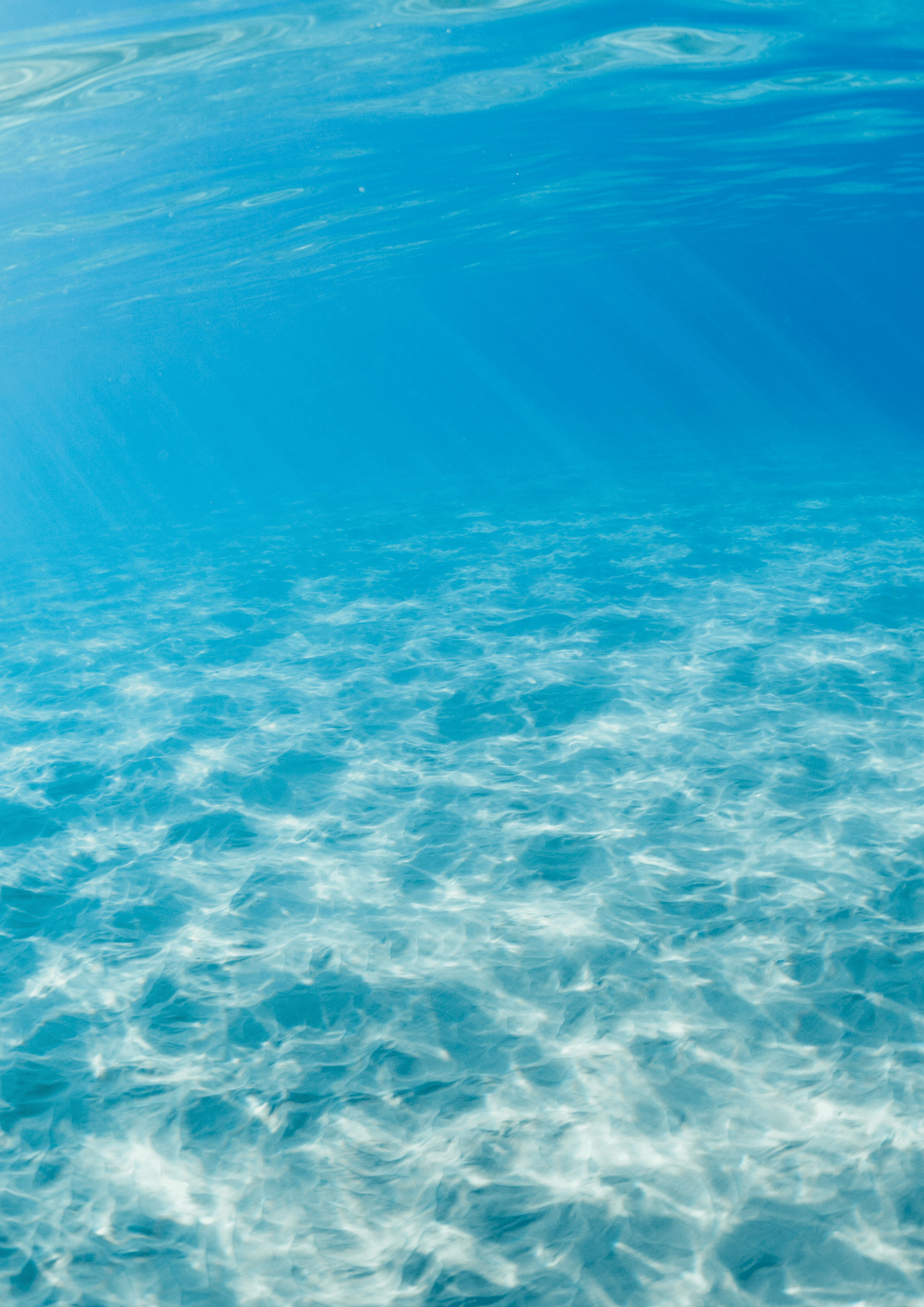 Sortez la tête de l'eau avec L'Agence Khaleessi