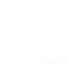 Logo partenaire Rouen Handball